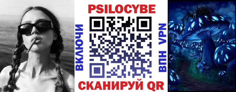Галлюциногенные грибы Psilocybine cubensis  omg как войти  Суворов  как найти наркотики 